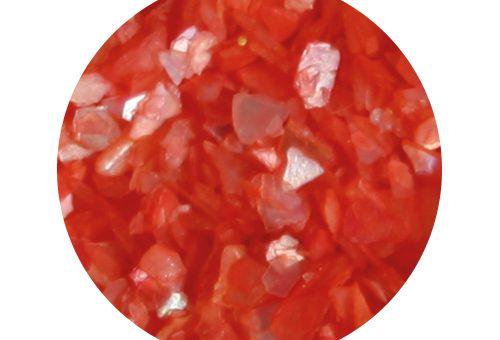 Shells Rojo