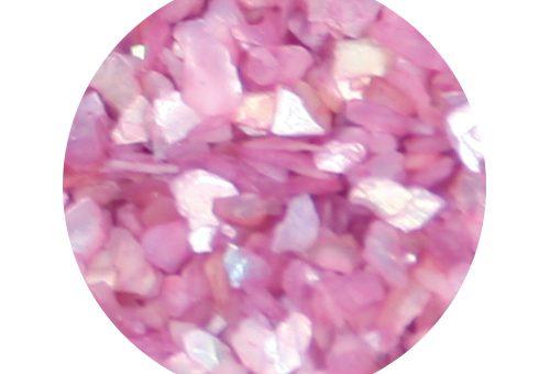 Shells Malva