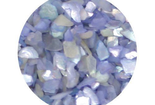 Shells Azul
