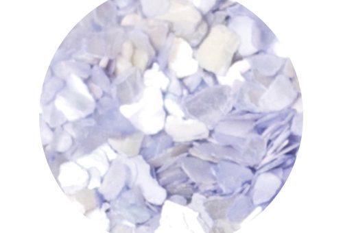 Shells Azul Pastel