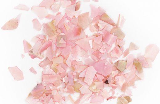 Shellflakes Apricot