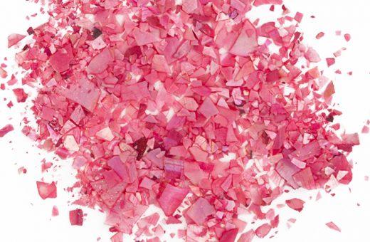 Shellflakes Rose