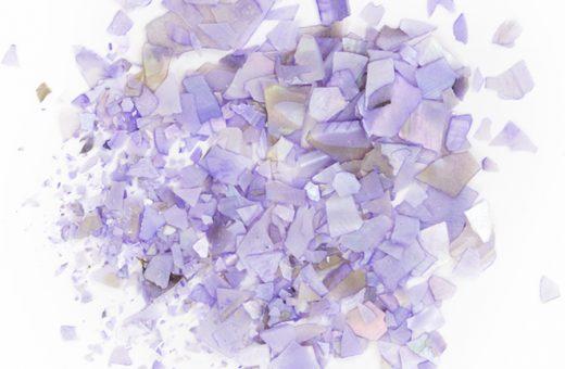 Shellflakes Lilac