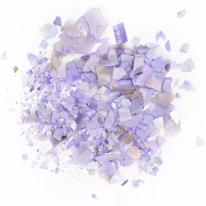 Shellflakes Lilac