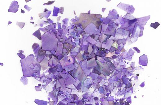 Shellflakes Purple