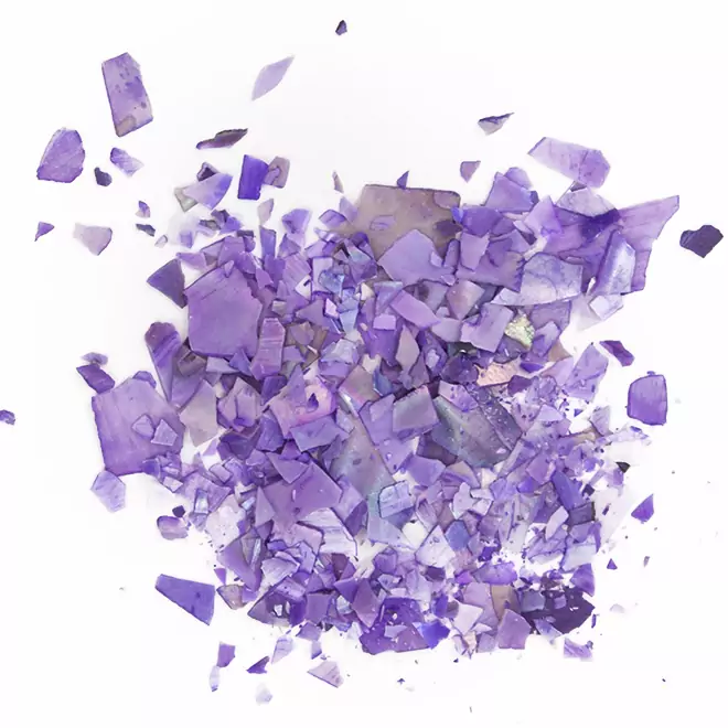 Shellflakes Purple