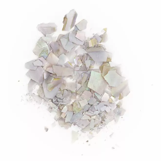 Shellflakes Grey