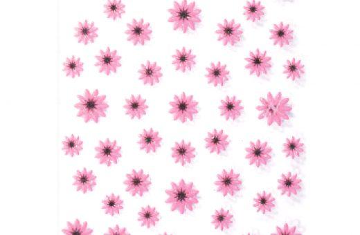 Stickers 3D - Summer Flower - Rosa