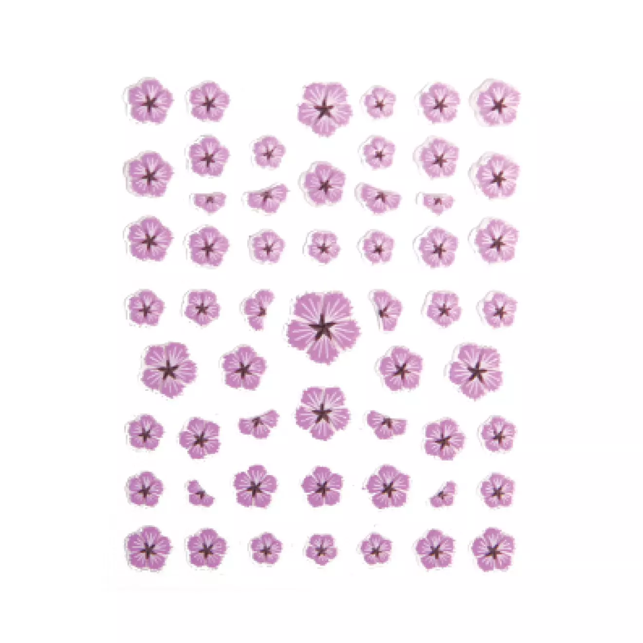 Summer Flower movada