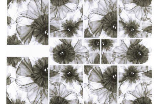 Superslim Waterdecals - B&W Floral