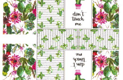 Superslim Waterdecals - Cactus Flower