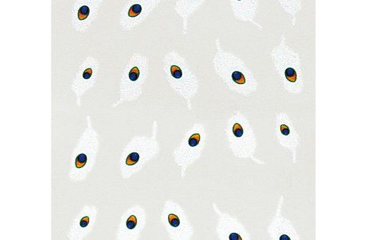 Water Decals plumes blanches paon royal
