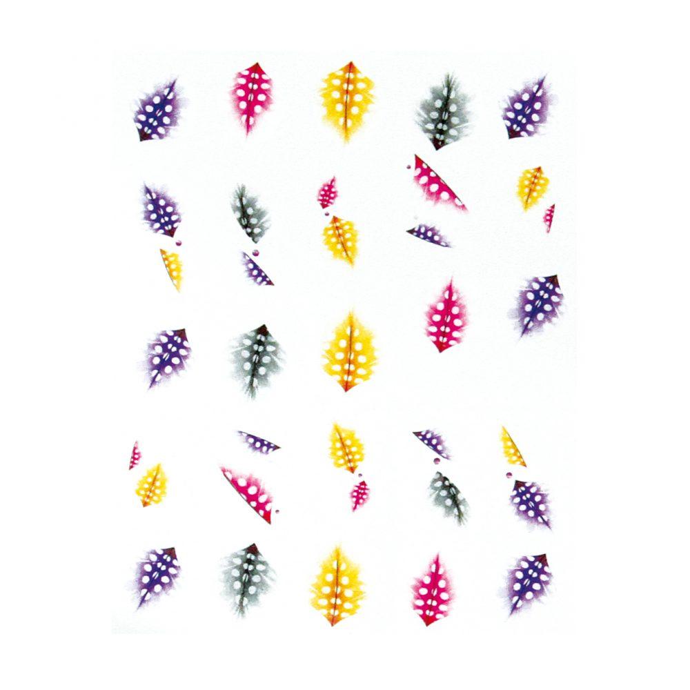 Water Decals plumes variées