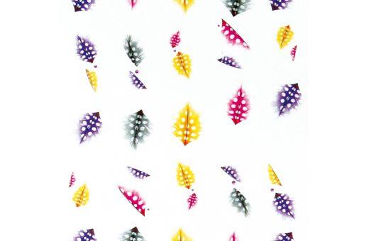 Water Decals plumes variées