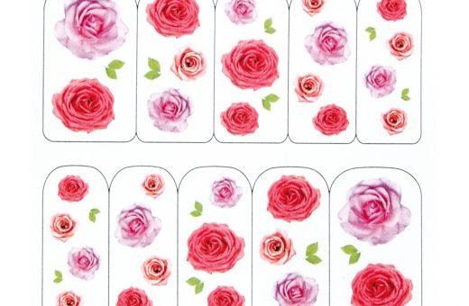 Water Decals roses variées