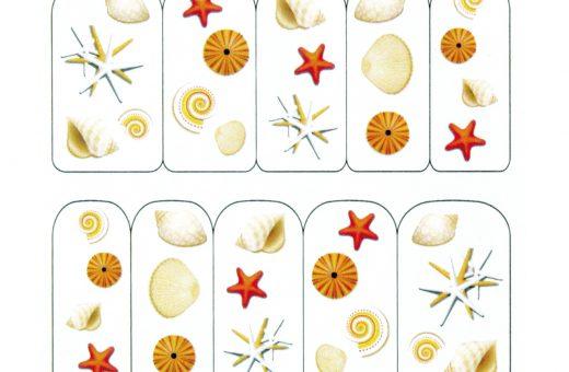 Water Decals coquillages marins