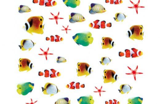 Water Decals poissons variés