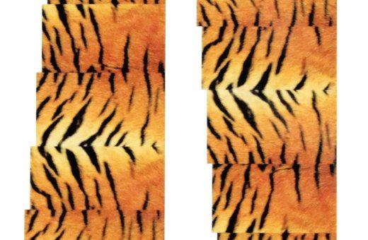 Water Decals piel de tigre