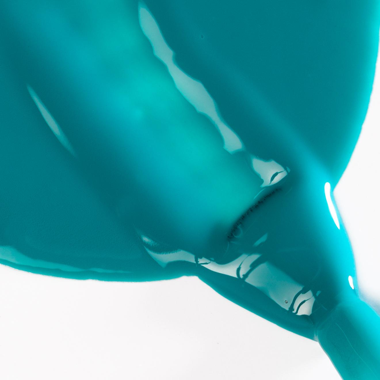 Gel Lacquer CACTUS JACK – Image 3