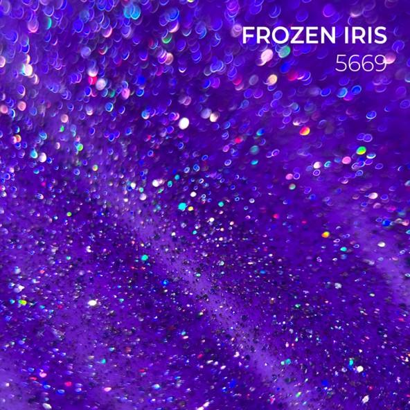 Gel Lacquer GLITTER - Frozen Iris – Image 2