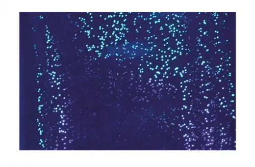 Foil Blue Dots