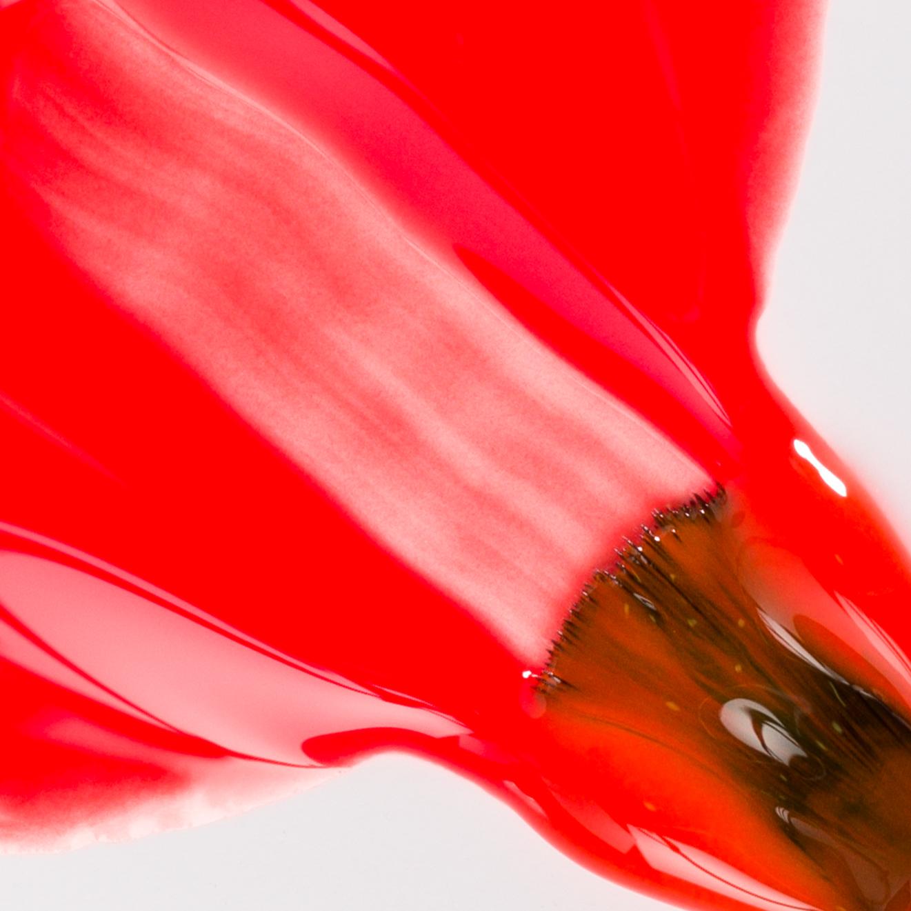 Gel Lacquer NEON - CORAL – Image 2