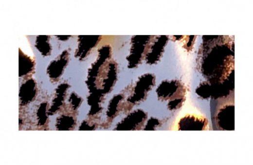 Foil Leopard Gold / Silver