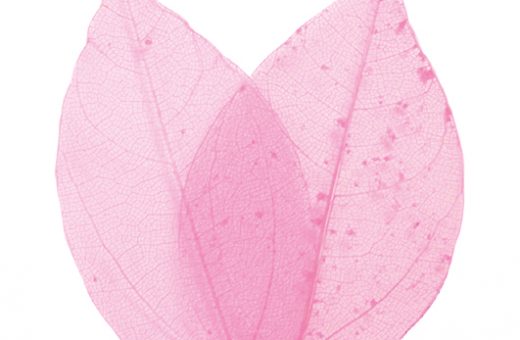 Leaves - Pink
