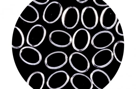Metallic Forms Oval - Silver - 25 pcs