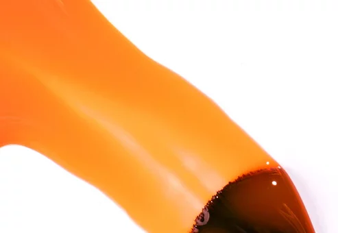 Gel Lacquer Colortech - JELLY Orange