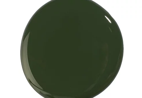Gel Lacquer Colortech - BOTANICAL Green Olive 10 ml